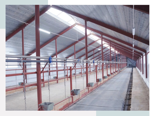 Строительство коровников в Ломоносове от 615 руб.