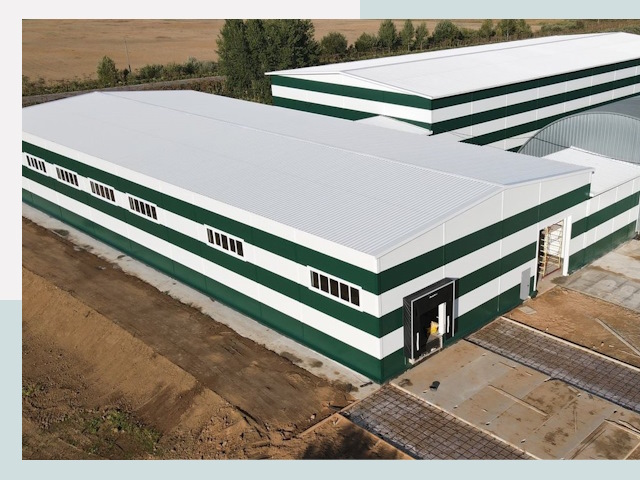 Строительство овощехранилищ в Ломоносове