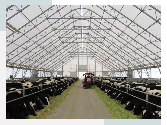 Тентовые коровники в Ломоносове от 615 руб. - Надежно и доступно